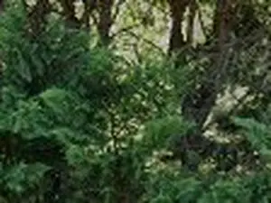 Marco Nett Nettoyage