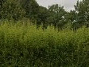 Déchèterie de La-Croix-Rambaud