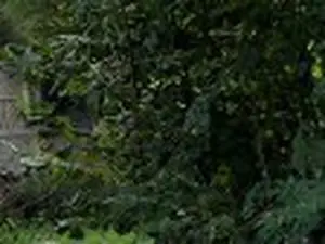 Déchetterie de Percy