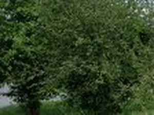 Plombier Chauffagiste - Entretien & Dépannage Chaudière / TEDDYCHAUFF