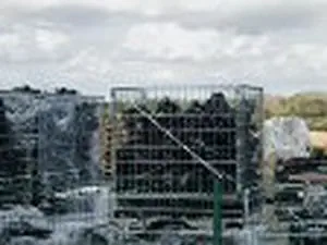 ombrée service environnement