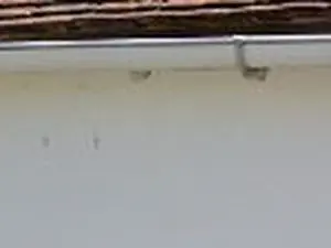 MSRD77 MultiServices Débarras entretien maison et jardin et autre petite prestation