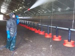 SARL DELAMARRE Eddy Nettoyage de bâtiments d'élevage et bâtiment agricole Morbihan/Bretagne