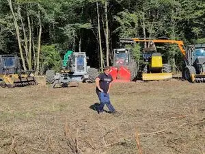 Arbo Environnement