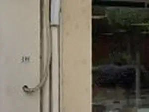 Service Chalosse Tursan