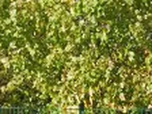 Déchetterie Saint Hilaire des Loges