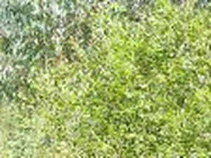 Paprec Métal Déconstruction