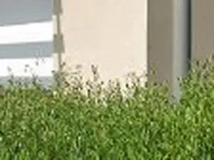 Dr Caroline MONTRIEUL