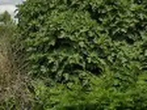 SARL MORENO EMMANUEL